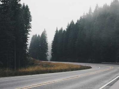 蘑菇视频 - 美食制作教程